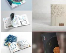 全案策划、vi设计、餐饮策划、包装设计、文化墙设计、视频拍摄 全案策划、vi设计、餐饮策划、包装设计、文化墙设计、视频拍摄